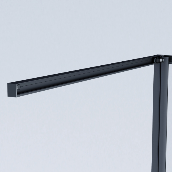 Душевая дверь Альфа (Alpha) VPSW-3AL100CLB, 1000, черный, стекло прозрачное